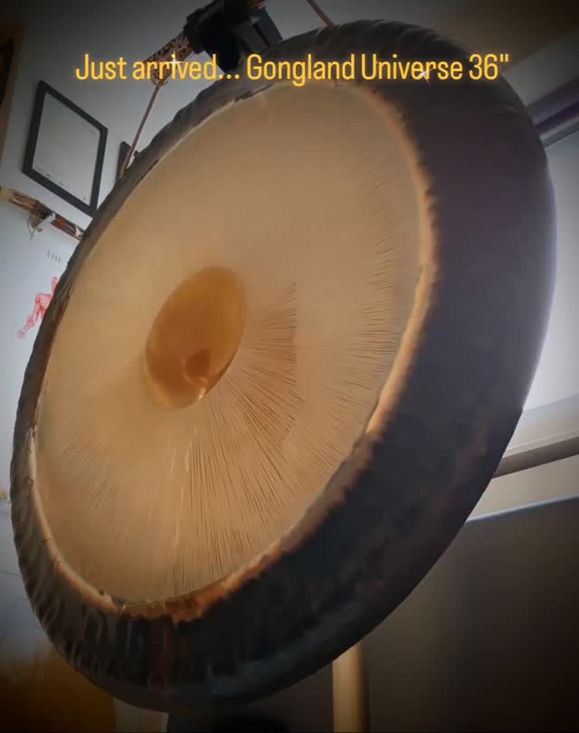 Gongland Universe 36" with Epic Mallets / Flumies and a B Love Essential Low 10 flumi. Phone mic and speakers will never do justice to the deep tones - particularly the subharmonic. In the room the sound is incredible - warm, all-encompassing... like being wrapped in a big, soft blanket.
Book for my next gong bath (Sunday 20th July) or sound bath (Monday 4th August) and you'll get to experience it in person! 😉
#gongland #epicmallets #blovesacredsound