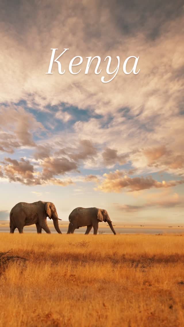 𝐄𝐧𝐯𝐢𝐞 𝐝𝐞 𝐯𝐢𝐯𝐫𝐞 𝐮𝐧 𝐯𝐨𝐲𝐚𝐠𝐞 𝐠𝐫𝐚𝐧𝐝𝐢𝐨𝐬𝐞, 𝐚𝐮 𝐜œ𝐮𝐫 𝐝𝐞 𝐥𝐚 𝐧𝐚𝐭𝐮𝐫𝐞 𝐚𝐟𝐫𝐢𝐜𝐚𝐢𝐧𝐞 ?
Le Kenya t’attend avec ses grands espaces, ses animaux sauvages et ses paysages à couper le souffle.
Imagine-toi face aux flamants roses du lac Nakuru, au cœur des plaines infinies du Masai Mara à observer les Big Five, ou encore à bord du train entre Nairobi et Mombasa, un safari ferroviaire entre savane et océan.
On te crée un séjour sur mesure, entre aventures inoubliables et moments de détente.
Parfait pour combiner safari authentique et plages de rêve sur l’océan Indien.
Un voyage pour les yeux, pour le cœur… et pour les souvenirs.
#Kenya #SafariKenya #MasaiMara #LacNakuru #TrainSafari #NairobiMombasa #VoyageSurMesure #Romontours #AfriqueAutrement #AgenceDeVoyageRomont #ÉvasionInoubliable #fribourgregion #romontregion