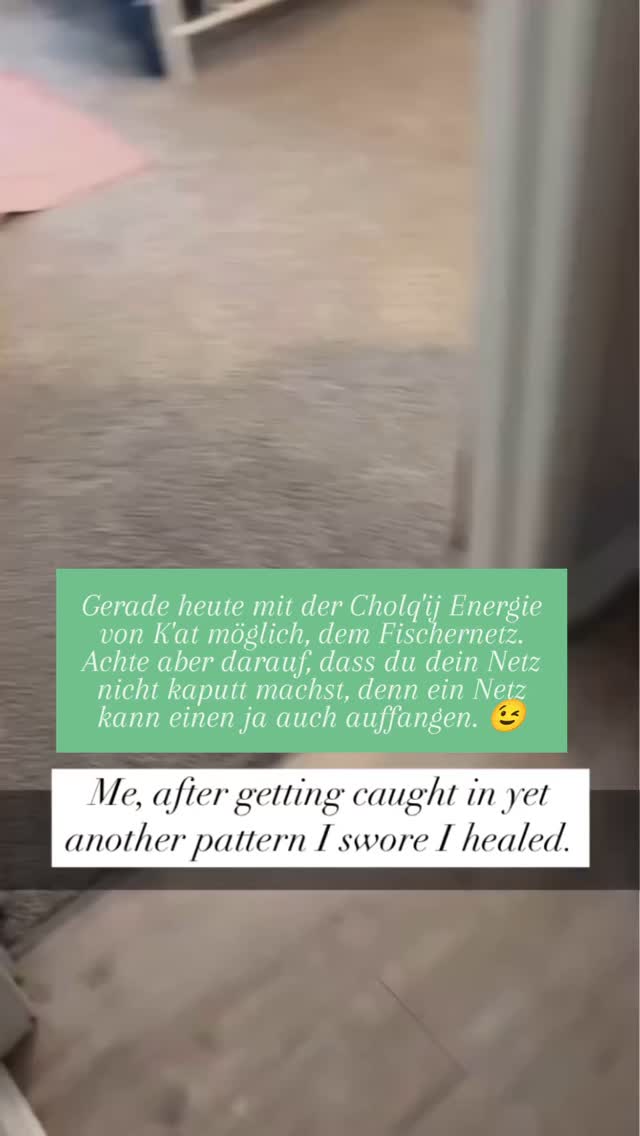 #cholqijcalendar #innerearbeit #energiearbeit #catsofinstagram #manifestorin #mentor #mayanwisdom