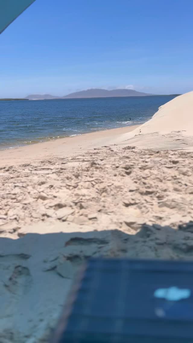 ¿Ya habías visto delfines cazando? 🐬🔥
Esto nos pasó en un paseo normalito de Puerto San Carlos a Isla Magdalena…
Estábamos comiendo chocolatas cuando empezaron a cazar justo frente a nosotros 😱
¡Y se quedaron ahí todo el rato!
Por suerte traíamos el dron 😎🎥
Bahía Magdalena nunca deja de sorprender.
¿Ya la conoces? 🌊✨
#Delfines #BahíaMagdalena #PuertoSanCarlos #Ecoturismo #MurillosBrosAdventours #IslaMagdalena #AventuraEnBaja #WildlifeMexico #ViajaPorMéxico #TurismoComunitario #djifamily