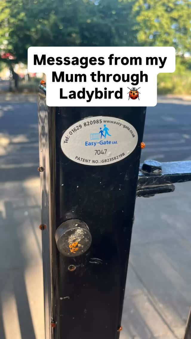 🐞ladybird 🐞
They were everywhere today…
Ladybirds on the gate,
Ladybirds dancing around my car,
Ladybirds greeting me at a whole other place.
They always remind me of my mum.
She shows up in this way—especially for my eldest daughter.
And today, I asked for support.
I asked to feel held as I step fully into this next chapter.
They answered.
Gently. Powerfully.
We don’t lose the ones we love.
But sometimes, we forget.
And these signs…
they’re here to help us remember.
That we’re not alone.
That we are supported.
That love never leaves.
💫
With love, always,
Anna 🐞 🙏🏻💫. P.S.
I also noticed the number on the gate: 7047 💫
And the name of the gate?
Easy Gate.
I mean… could the signs be any clearer?
It felt like the universe—and my mum—saying:
“You’re on the right path. It’s safe to walk through. Let it be easy. Let yourself be held.”
Every part of today felt like a message.
Not just from her,
but from something greater too.
A reminder that when we open our hearts and pay attention…
we’re never walking alone. As I write this post a robin lands in front of me a nudge from my Dad to keep going. 🙏🏻💫❤️