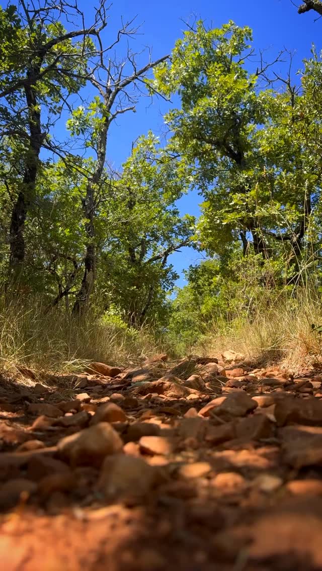 Some hikes feed the soul. Others just work your quads. This was the latter. 🥾#getoutandexplore #hiking #lesbabounets #hikingtrails #provence #france