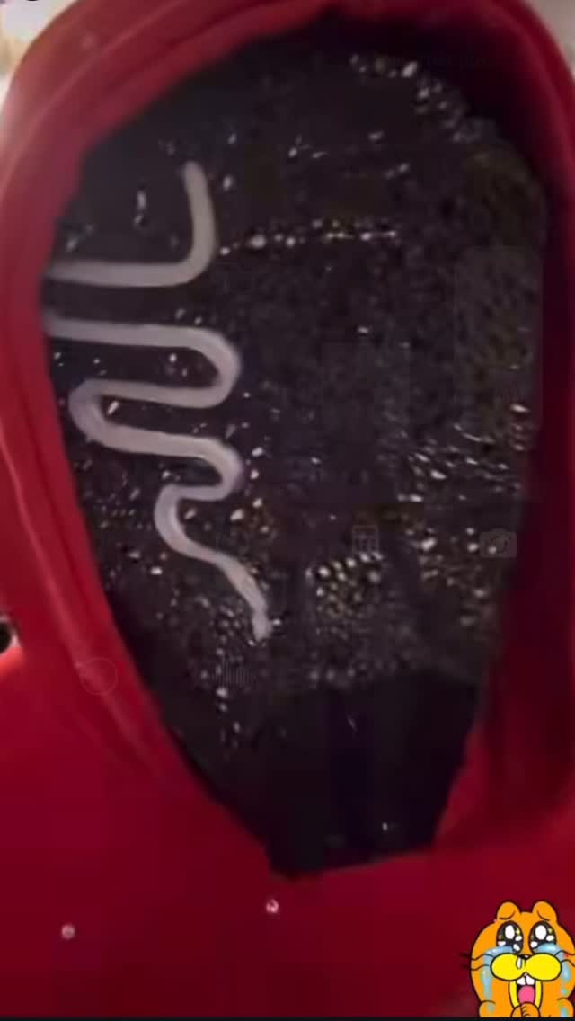 We had the incredible opportunity to experience @sickickmusic perform on behalf of @lialabrant and @throwdown713 wedding and it could not have been more perfect. Not only is he an exceptional artist, but heās also an amazing human whose energy immediately fills the soul. We couldnāt have asked for a more smooth evening with him and his crew. This video was produced by Sickick and his team and is so on point for the fun we had that night!
Wholeheartedly, @sickickmusic, @raynmagic @rajan, THANK YOU for setting the standard where artistry and music meets human connection šš»š«¶š».
.
Congratulations Lia & John on your future together and cheers to many more celebrations!!
.
.
@lialabrant
@djcuttentertainment1
@multnomahfallslodge