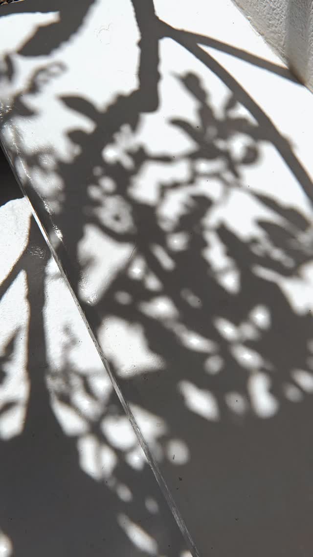 Sunday’s peace spilling into Monday 🤍.
.
.
.
.
#sundaymood☀️ #peace #peaceful #shadowandlight #shadows_magazine #cinematography #femaledirectors #femaledirector #weekendflow #summer #summervibes☀️ #sunbathing #relax #breathe