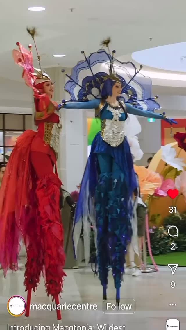 A blooming spectacle, high above the crowd.
Our LED Flowers & Birds of Paradise Stilt Walking Duo dazzling families all through the school holidays—bringing light, colour, and joy to every step.
Elegance with a whimsical twist, perfect for events that need that extra sparkle and wow.
#SydneyLEDFlowers #BirdsOfParadiseStiltwalkers #SydneyStiltWalkers #DanceCircus #SchoolHolidayFun #RovingEntertainment #LightSpectacle #GlowActs #EventEntertainment
@dancecircusentertainment
Thanks to @enhancentertain