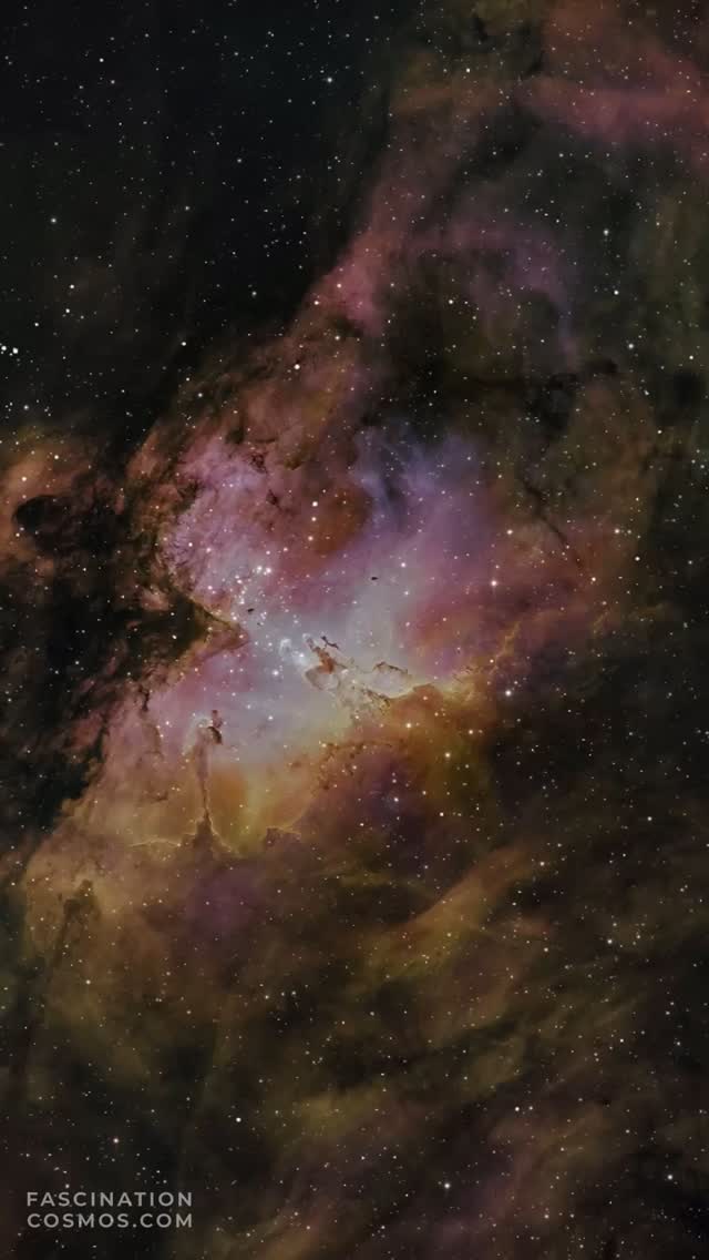 Adlernebel M16
Der bekannte Adlernebel – ein markantes kosmisches Kunstwerk, im (nördlichen) Sommer in der Milch-straße perfekt sichtbar und gerade mal so 7000 Lichtjahre entfernt! Was ist das? Eine riesige Wolke aus Gas und Staub, ja, aber vor allem: eine Sternenfabrik! Im Zentrum dieses Nebels finden wir den Stern-haufen NGC 6611, vollgepackt mit jungen, extrem heißen und massereichen Sternen. Und die machen ordentlich Stimmung: Ihre intensive ultraviolette Strahlung bringt das umgebende Gas zum Leuchten und formt dabei spektakuläre Strukturen: hier entsteht Neues im Kosmos, ein beeindruckender Blick in die Geburtsstuben der Sterne! Die erinnern an einen Adler, daher der Name „Adlernebel“. Diese Struk-turen vom Zentrum haben unter der Bezeichnung „Säulen der Schöpfung“ auch außerhalb der Astro-nomiegemeinde ikonische Aufmerksamkeit erlangt
Die Originalaufnahme habe ich mit 35 Schmalbandaufnahmen mit je 600 Sekunden, sowie mit 52 LRGB Aufnahmen mit je 90 Sekunden, in Summe also in weniger als 5 Stunden Aufnahmezeit belichtet. Aufnahme in meiner Gartensternwarte mit meinem (seit April 2025 neuem) Lacerta 12", 1200mm mit f/4, einer QHY268M Monokamera mit Filterrad mit 7 Filtern, einer QHY OAG-Nachführung mit einer ASI-174MM-Mono-Nachführkamera und mit einem SestoSenso2-Fokusser, alle auf einer Celestron CGX montiert. Mit Astro Pixel Prozessor, Pixinsight, Adobe PhotoShop verarbeitet und das Bild als Video animiert und vertont.
Bitte sehr gerne meine Post weiterleiten ! Jedwede andere Art von Kopien oder Nutzung ist nur mit ausdrücklicher Erlaubnis des Copyright Inhabers erlaubt. Bestellung von Kopien und Bildern gerne unter https://photo-portal.shop/profiles/fascinationcosmos.com/#/ oder einfach per Nachricht an mich.
#fascinationcosmos #cosmos #faszinationkosmos #kosmos #franzrettenbacher #astrophotography #ast-rofotografie #astrophoto #astrofoto #deepsky #astronomie #astronomy #astro #teleskop #amateurastrophotography #qhy268m #CelestronCGX #deepspace #M16 #Adlernebel