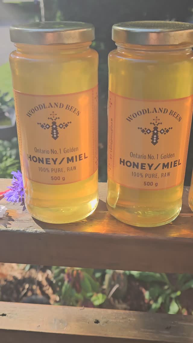 New season, new sweetness.
Spring 2025 honey just dropped. She’s light, she’s mild, and she pairs perfectly with, well… everything. Even midnight spoonfuls. We won’t judge
#localhoney #bees🐝 #beehives #ontariobeekeeping #ontariohoney #fromthe beehive
#HoneyHarvest #rawhoney #WoodlandBees #localbeekeeper