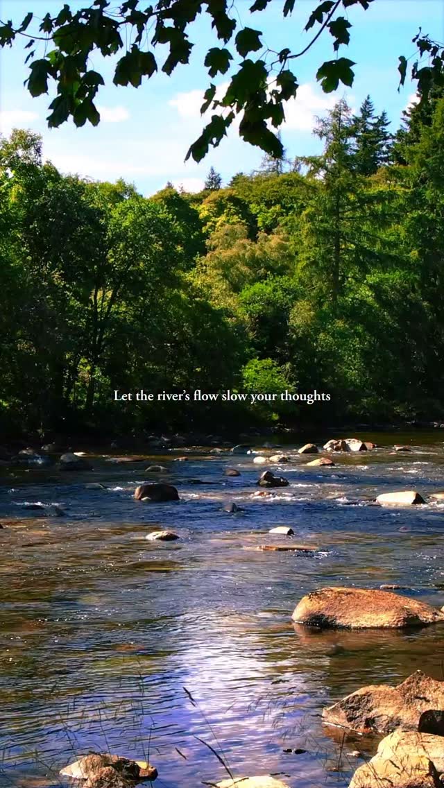 Let your mind drift with the current 🌊
📍 The River Dee, Balmoral Castle, Scotland
#rivertherapy #naturecalm #mindfulness #Cairngorms
