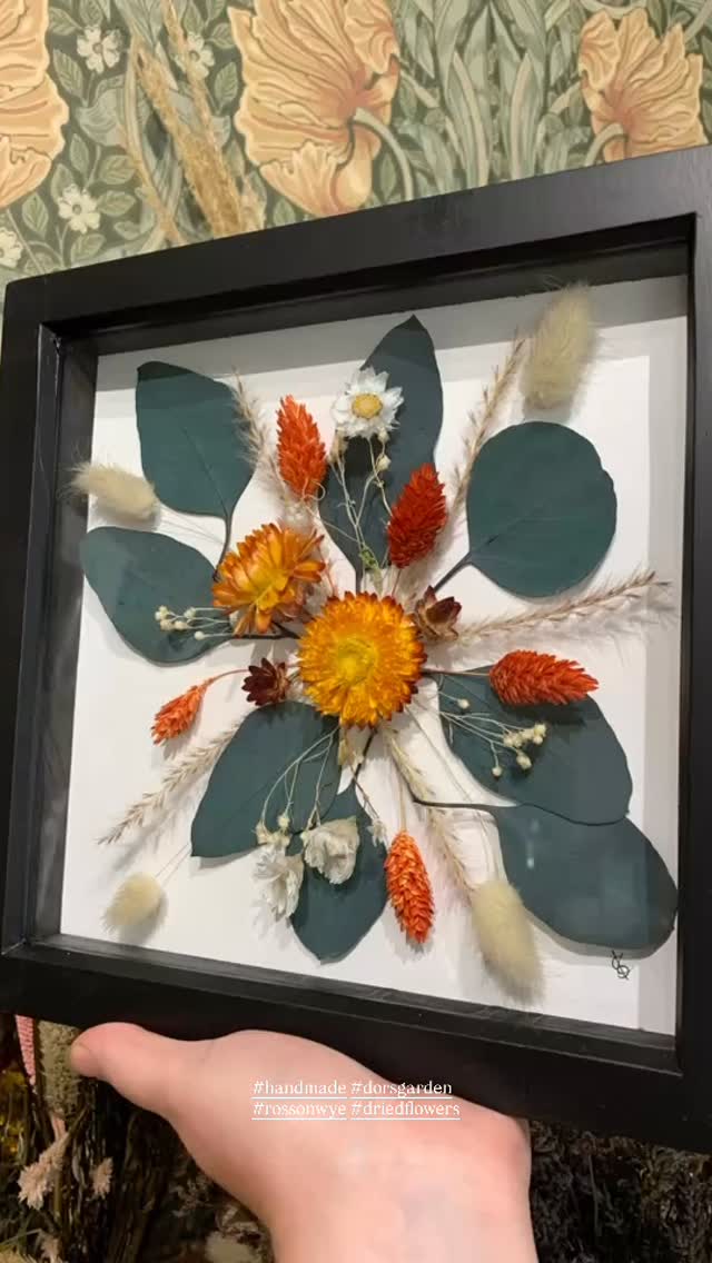 🌹 NEWNESS 🌹
Discover my latest beauty! Another gorgeous flower box frame now up for grabs in the shop. Handmade with love at Dors Garden, boasting blues, oranges, and creams within a black frame. Perfect for gifting or decorating your space. Bespoke designs welcome - simply me drop a message or swing by the shop.
Frame measures 24x24cm.
Stay tuned for more colours hitting the shop and website!
#rossonwye #herefordshire #gardenshop #loveyourgarden #shoplocal #visitrossonwye #driedflowers #driedflorals #keepsake #weddinginspo #memorybox #bespoke #handmade