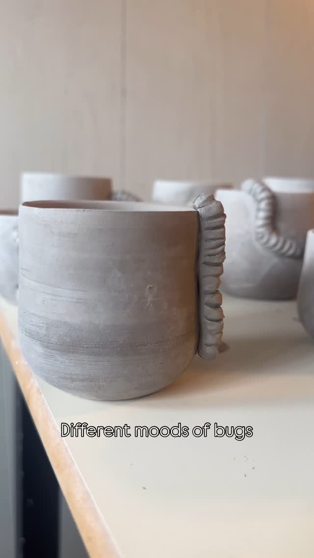 What is your mood? #Pottery #ceramicartist #bugmug #bugs #natureart #handbuiltceramics #ceramics #fy