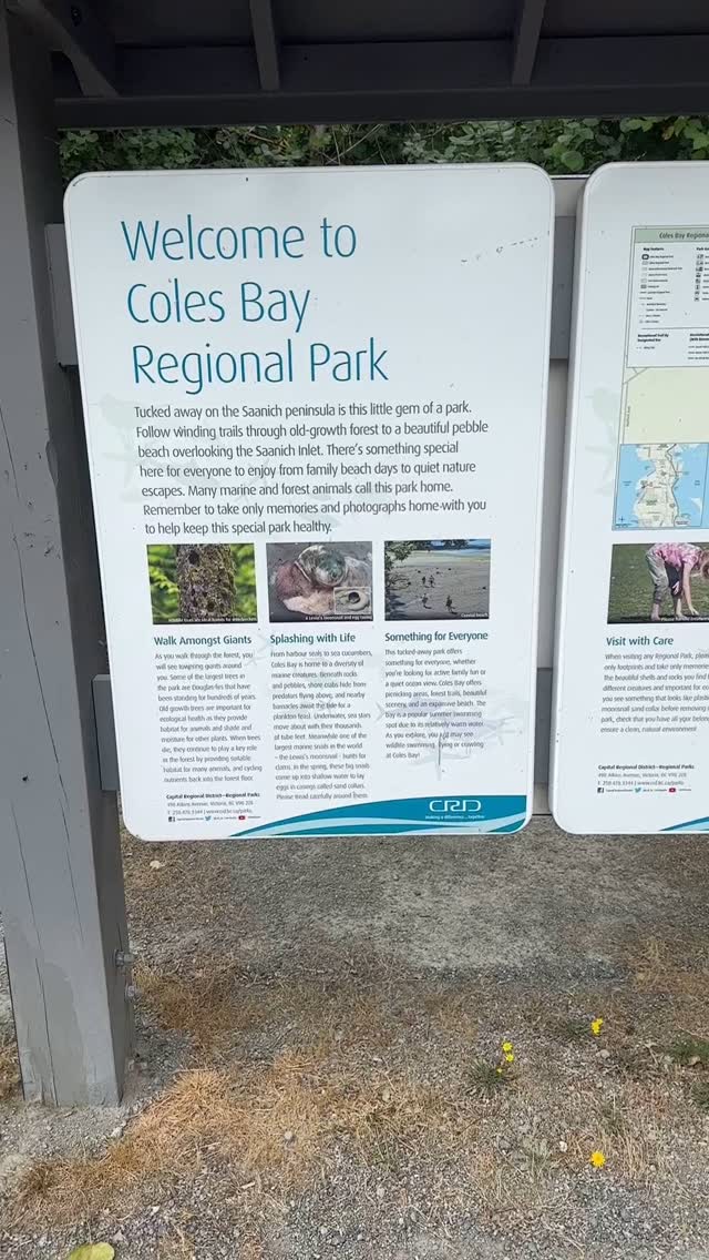 We are heading into Week 3 of summer camp at Pacificheart and we’re still riding the wave of fun ☀️🌊
One of the best parts about our program? It’s not just the kids who are having a blast—we are too! The laughter, the creativity, the spontaneous dance parties or fashion shows… it’s all part of the magic.
We’re beyond lucky to have such an incredible team this year. The energy, dedication, and heart each staff member brings to the program makes all the difference.
They show up with joy, lead with kindness, and bring their full selves to every moment—and the kids feel it. We all do 💛
Here’s to another week of connection, sunshine, and childhood memories in the making!
#PacificheartChildcare #summercampmagic #gratefulhearts #teamworkmakesthedreamswork #childhoodunplugged #camplife