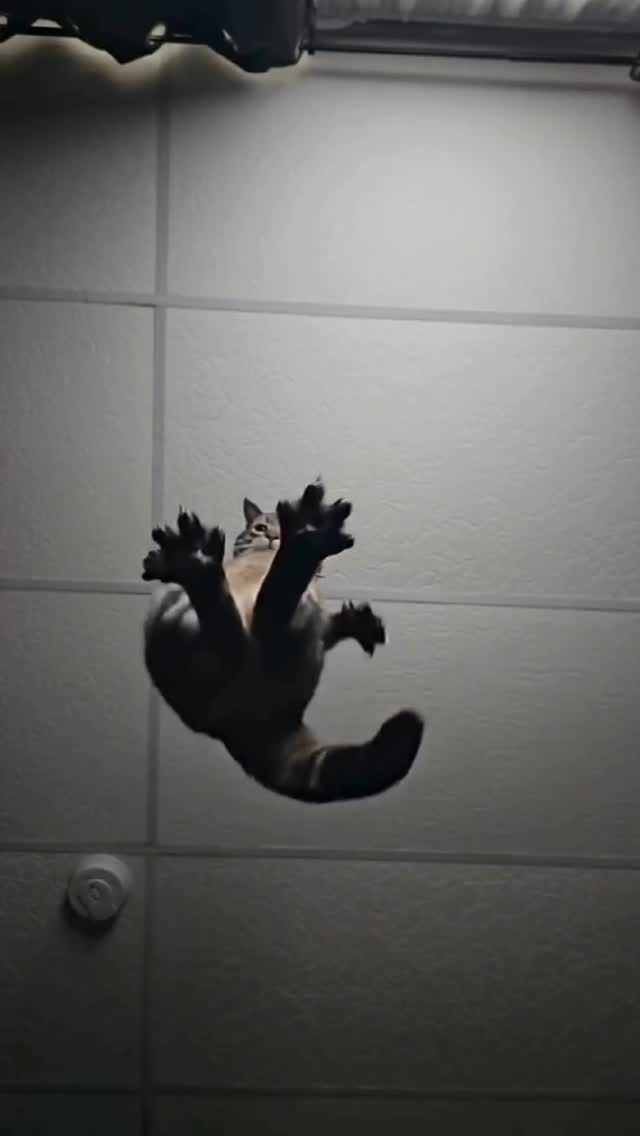 🎓 We specialise in educational, informational, and commentary content — whether it's Reels, Podcasts, or long-form YouTube videos, we deliver high-quality, expertly edited outputs tailored to your vision.
💸 Worried about budget? Don’t be. Our multi-tiered pricing has something for every creator, and our interactive pricing calculator makes it easy to plan ahead. Focus on your creation journey while we handle the editing!
📲 Check samples and explore pricing — both linked in bio.
📞 Got questions or ready to start? DM us or WhatsApp at 9930319225 — we’d love to hear from you!
#digitalmarketing #marketingservicesinuk