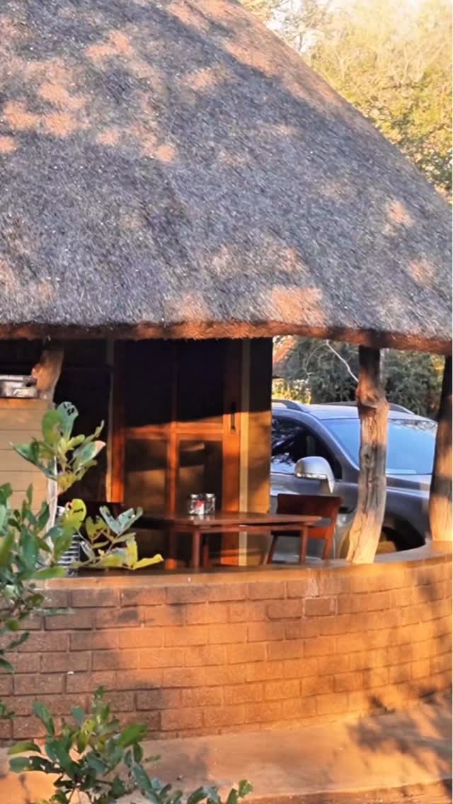 E116 satara #safari #southafrica #travel #krugernationalpark
@sanparks