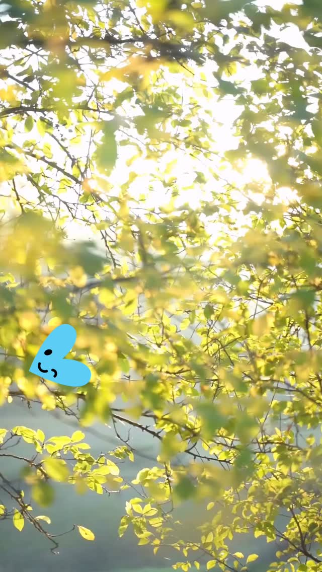 Merci pour vos retours et vos partages 🔆
Au plaisir de vous accueillir prochainement en réflexologie plantaire 👌🏽
www.ressource-aurore.fr
#reflexologie #rennes