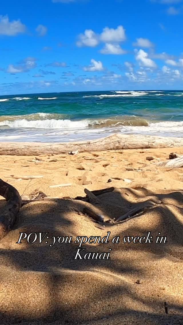 Kauai kept my heart, watch it capture yours too. Head to the link in bio to schedule an intro call with us
#sustainabletravel #traveladvisor #hawaii