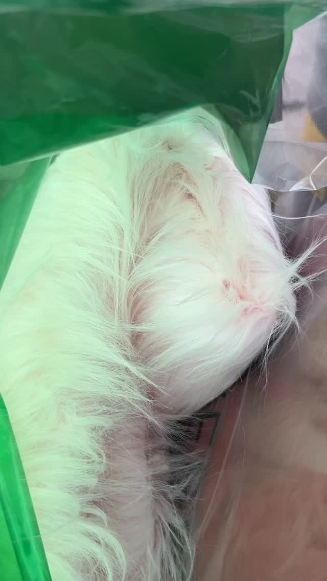 Del 2 i mitt nya liv som influencer! 😈