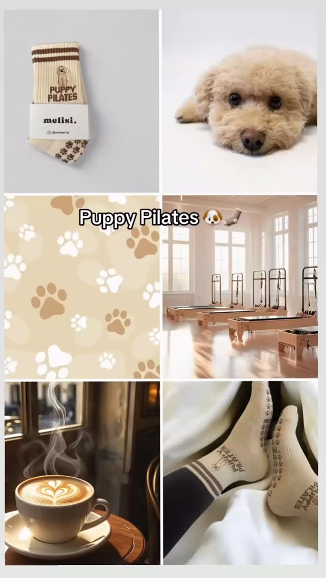 Puppy Pilates! How cute are these with the paw print grip socks! 🐾
#pilatesinstructor #pilates #puppy #puppylove #doglover #dogsoftiktok #dogsofinstagram #pilatestiktok #pilatesreformer #puppy #puppylife #puppiesofinstagram #puppystagrams #doggroomer #fitness