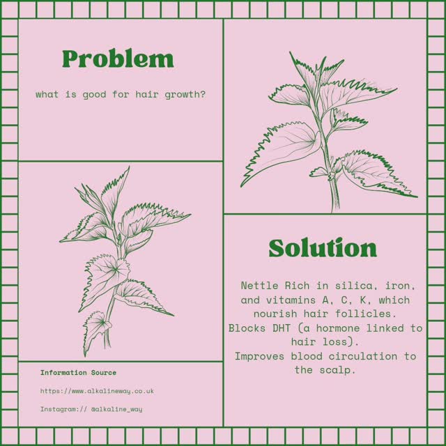 L E T • I T • G R O W
.
.
Nettle is one of the go to herbs to help with hair growth!
.
Comment hair 'growth' below and we will drop you a message with some tips and tricks on how to use nettle leaf!
.
.
#nettle #hairgrowth #letitgrow #organic