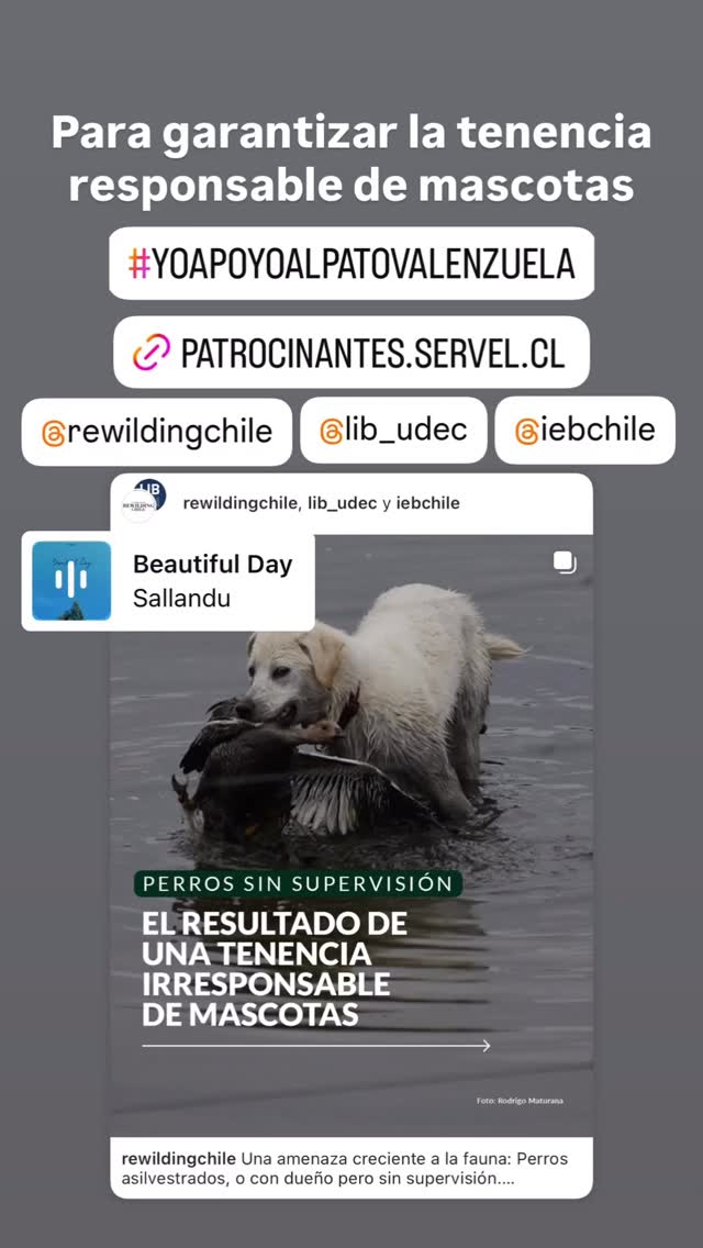 Por una tenencia responsable de mascotas #yoapoyoalpatovalenzuela #porunchileconunidadpazyarmonía #fyp #parati #chile2025 #presidentechile