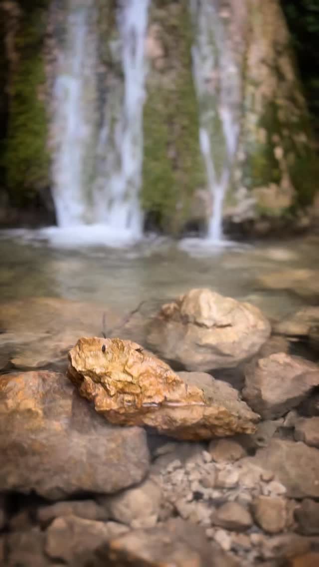 Not my usual vibe. If you know me or have seen my trails, you’ll know I’m more of a red rock, desert canyon kind of explorer. But sometimes the need for a workout pins the map for you.
This time it led to 12km of Swiss hill climb, trickling wanna-be waterfalls, and a solid 730m of leg burn. Worth it? The views said yes.
#getoutandexplore #hiking #trails #switzerland