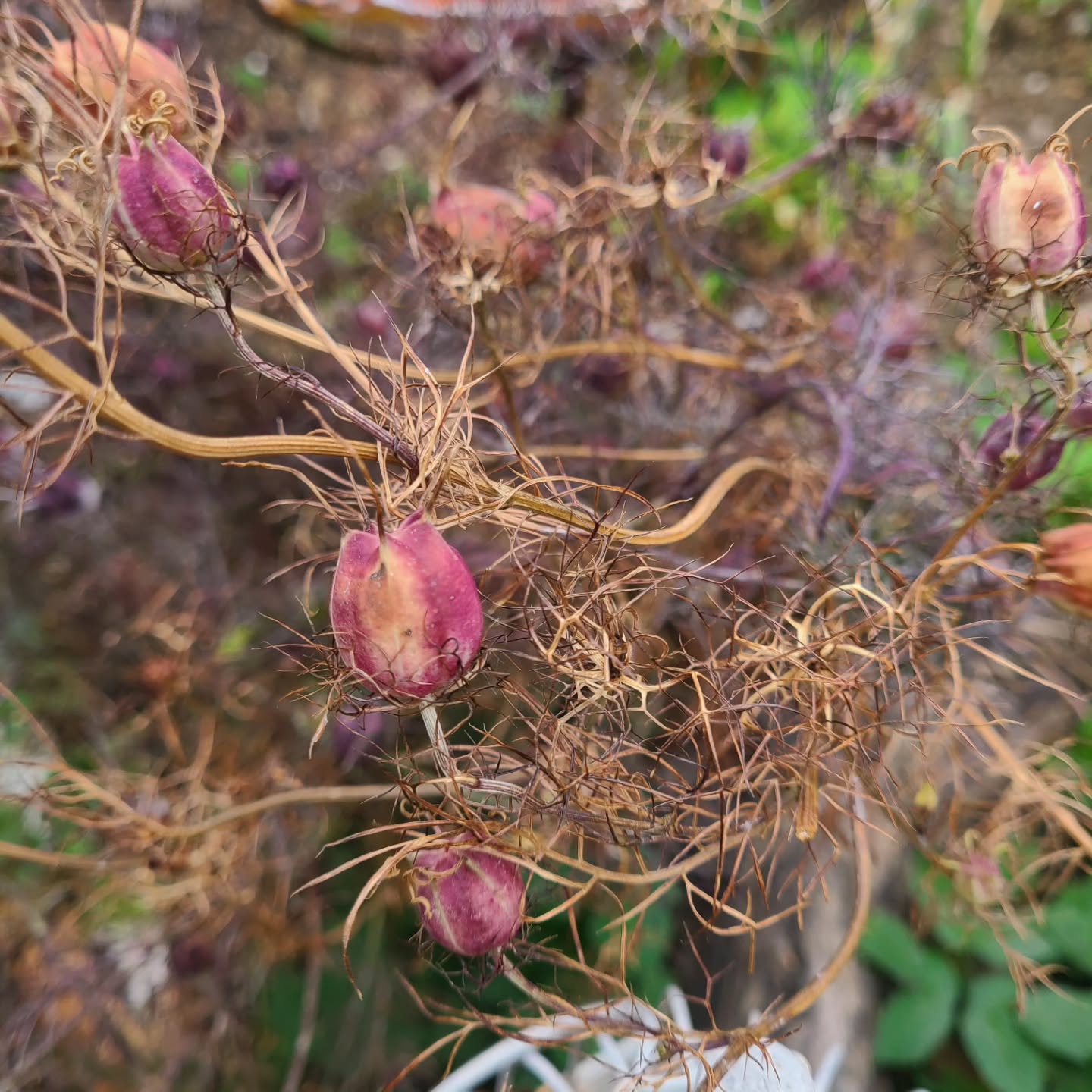 Slow morning breakfast in nature