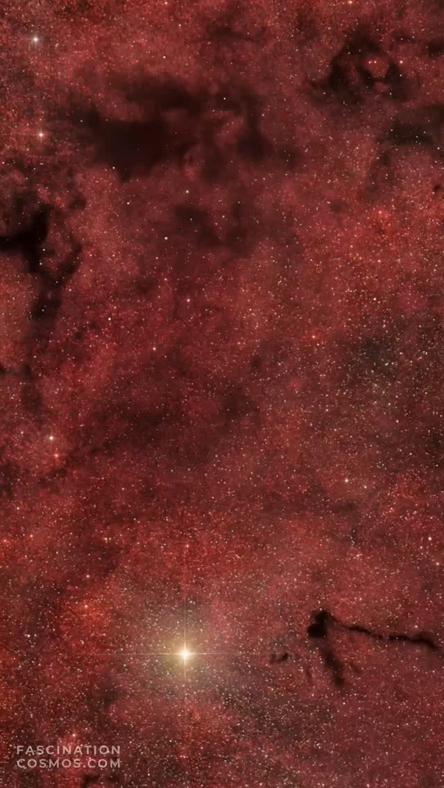 Dunkelnebel LDN534
In diesem Bereich der Milchstraße, dem Sternbild Schild hat der Kosmos keine Löcher, im Gegenteil es ist die beeindruckende Region des Dunkelnebels LDN534, eine dichte und kalte Wolke aus Staub und Gasen. Die Gase - hauptsächlich unser Lieblingselement Wasserstoff - und der Staub verdecken das Licht der dahinter liegende Sterne und Nebel. Der Dunkelnebel wird auch unter dem Begriff B(ernard)108 erwähnt, seine Entfernung mit seinem zentralem Bereichen B110 und B113, so wie rechts dem zackenförmige B107 (im Bild steht irrtümlich B104) wird auf etwa 6000 Lichtjahre geschätzt: als also dieses Licht, das wir hier heute sehen seine Reise begann, da fingen die alten Ägypter und Mesopotamier gerade mal an sich mit Kupfer zu beschäftigen!
Mein H-alpha Filter zeigt, dass diese Sternentstehung in den umliegenden roten und hellen Bereiche bereits voll im Gange ist. Rechts, der markante helle Stern ist Beta Scuti (genannt nach dem Sternbild Scuti, also Schild). Noch immer 700 Lichtjahre entfernt ist er so riesig, dass wir ihn mit bloßem Auge sehen können: der Hauptstern - eigentlich ein Doppelstern - ist mehr als 1000mal heller und im Radius 50 mal größer als unsere Sonne!
Die Originalaufnahme habe ich mit 8 H-alpha Aufnahmen mit je 600 Sekunden, sowie mit 46 LRGB Aufnahmen mit je 120 Sekunden, in Summe also in weniger als 3 Stunden Aufnahmezeit belichtet. Aufnahme in meiner Gartensternwarte mit Lacerta 12", 1200mm, f/4, QHY268M Monokamera mit 7 Filtern, QHY OAG-Nachführung mit ASI-174MM-Mono und mit einem SestoSenso2-Fokusser, auf Celestron CGX montiert. Mit Astro Pixel Prozessor, Pixinsight, Adobe Photoshop verarbeitet und als Video animiert und vertont.
Bitte gerne meine Post weiterleiten! Jedwede andere Art von Kopien oder Nutzung ist nur mit ausdrücklicher Erlaubnis des Copyright Inhabers erlaubt. Bestellung von Kopien und Bildern gerne unter https://photo-portal.shop/profiles/fascinationcosmos.com/#/ oder per Nachricht an mich.
#fascinationcosmos #faszinationkosmos #franzrettenbacher #astrophotography #astrofotografie #deepsky #astronomie #astronomy #amateurastrophotography #qhy268m #CelestronCGX #deepspace #LDN534 #Dunkelnebel #BetaScuti