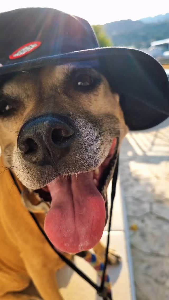 I’m ready for a walk at the beach and maybe a quick dip in the sea? Besides, summer is here 😎