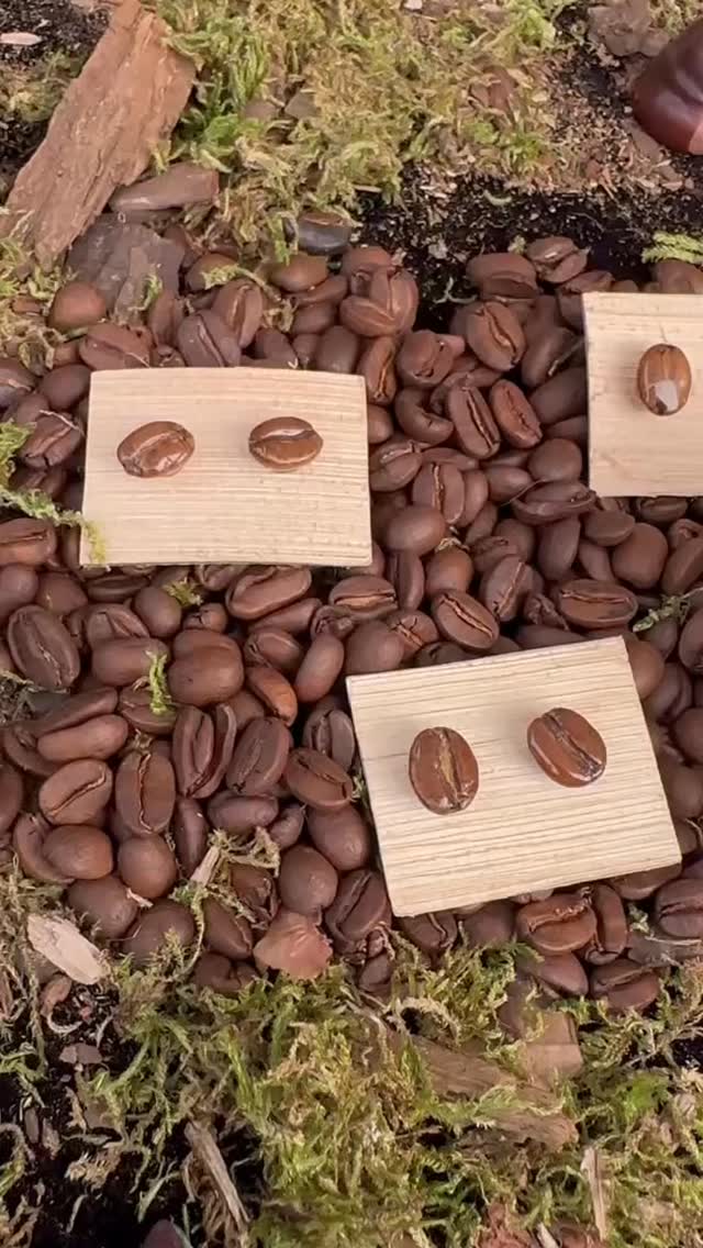 Il y a quelque chose d’intense qui se passe à chaque marché : une énergie, une connexion entre nous, nos bijoux, et ceux qui s’arrêtent.
Quand vous touchez une pièce Tika, vous sentez la nature, la main qui l’a façonnée, le voyage entre la Colombie et la France.
Chaque bijou raconte une histoire, chaque symbole végétal réveille une émotion. 🌿
Cet été, vous avez été nombreux à vous laisser émouvoir, à me confier vos coups de cœur… et à repartir avec un petit bout de forêt au creux du cou ou posé contre la peau. 🍂✨
Derrière chaque création, il y a des graines sacrées, des pétales séchés, des feuilles ramassées avec soin.
Chaque matière naturelle porte en elle un message, une vibration, une mémoire.
Porter un bijou Tika, c’est porter un fragment vivant – entre artisanat, poésie et symbolisme.
📍 Retrouvez mes créations :
– À la boutique Comptoir Latino – 30 rue des Trois Frères, Paris 18e (Montmartre)
– Sur les marchés de créateurs (dates en story 📆)
– Ou en commande personnalisée, pour créer ensemble une pièce unique qui vous ressemble.
💚 Merci pour vos regards, vos mots doux, votre curiosité si précieuse.
C’est grâce à vous que cette aventure continue de vibrer.
👉 Dites-moi en commentaire : plutôt graines, feuilles, ou fleurs ?
🔁 Partagez ce reel si vous croyez, vous aussi, qu’un bijou peut toucher l’âme.
#TikaCréations #BijouxVégétaux #ArtisanatPoétique #BijouNaturel #FaitMainAvecAmour #BijouxSymboliques #ComptoirLatino #MarchéCréateurs #CréationFrançaise #Montmartre #BijouxÉmotionnels #TalismansBotaniques #ÉléganceÉthique #SlowBijou #ColombieFrance #LatinoAmérique #BijouTalisman