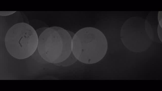 Throwback to 2018, I believe the first time we brought @hngmnuk over to play with @thisisbrightr also featuring a very baby faced @lightgreyband & @whatascream
Were bringing back Brightr & h_ngm_n in one month on August 15th and this time they’ll be doing full band sets, grab a ticket from our site now!
Also playing is @steadydecline.ie & @picturepostcardband