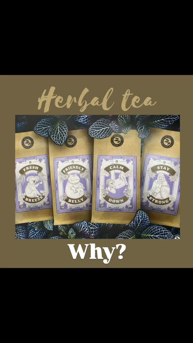 🌿 Ontdek onze Alveus Herbal Tea’s – 100% natuurlijk & functioneel! 🌿
🍃 Calm Down
Een rustgevende blend met o.a. kamille, lavendel en citroenmelisse.
👉 Perfect voor ontspanning na een drukke dag of voor het slapengaan.
🌱 Friendly Belly
Speciaal voor de spijsvertering, met venkel, anijs en pepermunt.
👉 Verzachtend bij een opgeblazen gevoel of na een zware maaltijd.
💪 Stay Strong
Een echte immuunbooster met gember, kaneel en kurkuma.
👉 Ondersteunt je weerstand – ideaal bij seizoenswisselingen of verkoudheid.
💨 Fresh Breeze
Verfrissend en zuiverend, met eucalyptus, pepermunt en tijm.
👉 Helpt de luchtwegen openen en geeft je een frisse energieboost.
🌸 Verkrijgbaar in onze winkel – kom langs & ervaar jouw favoriet!
#alveustea #kruidenthee #wellnessmoment #natuurlijkgezond #theeliefhebber