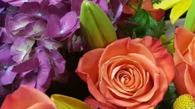 🌸 Blooming Sunday vibes are in full effect! 🌞 Whether it’s your garden that’s bursting with color or your spirit that’s feeling refreshed, today is all about growth, gratitude, and a little glam in the greenery. 💅🌿
Take a deep breath, admire the blooms, sip something sweet, and let nature do her thing. You’ve made it through the week — now let your soul blossom. 🌺✨
#BloomingSunday #TuBloom #SundayVibes #BloomsAndBalance #GardenGlowUp #NatureTherapy #SelfCareSunday #PetalPower #GrowWithTu #FlowerFix #FreshAirFeels #GreenThumbGang #PlantJoy #BloomAndThrive #SundayBloomDay #BotanicalBliss #PeacefulPetals #GardenGoals #MindfulMoments #FloralFeels #NatureLover