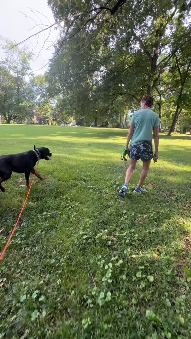 Of your dog doesn’t know how to be free, you have failed. We can help.