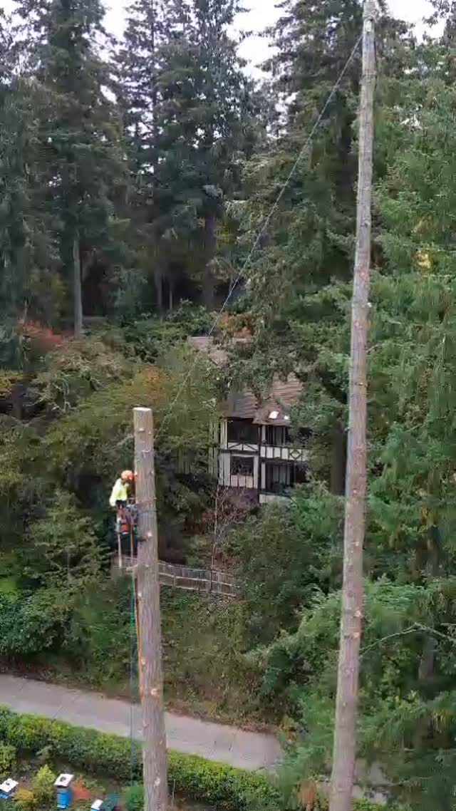 A and C Tree Service has an amazing crew! They work as a well coordinated team all execute their duties efficiently. They look out for each other and the property they are working in. This video is a great example of how A and C Tree Service gets the job done efficiently and most of all safely. #expertarborists #lanecountytreeservice #treeremoval