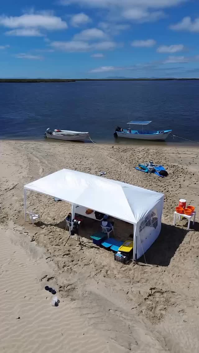 🎥 Sube el volumen… y déjate llevar por esta vista.
🏝️ La vida en la Isla… pero en el desierto más sorprendente de México.
Desde el corazón de Bahía Magdalena:
nuestro campamento frente al mar, rodeado de dunas y naturaleza pura.
¿Te imaginas despertar aquí? 🌅⛺
🔥 Experiencias reales, memorias inolvidables.
⛺ Playa solitaria, manglares, aves, delfines y mar al despertar.
✨ Solo falta que tú llegues.
📍Puerto San Carlos, B.C.S.
👣 Ven, vive y respira la aventura.
#MurillosBrosAdventours #BahíaMagdalena #IslandLife #TourConEstilo #CampamentoSalvaje