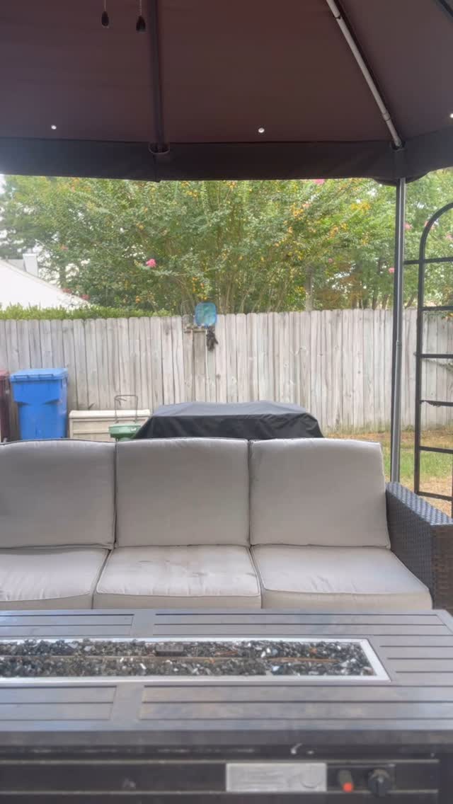 a realistic look at the downsides to jobs that rely 100% on technology 😭
nothing a little dunkin iced coffee, some sunshine, my cute pup, and a positive perspective can’t fix 🙌🏻☀️🐶 hope everyone else’s monday is going okay 😅
.
.
.
#CustomPortrait #SocialMediaManager #Realistic #WeddingPortrait #EngagementPortrait #Etsy