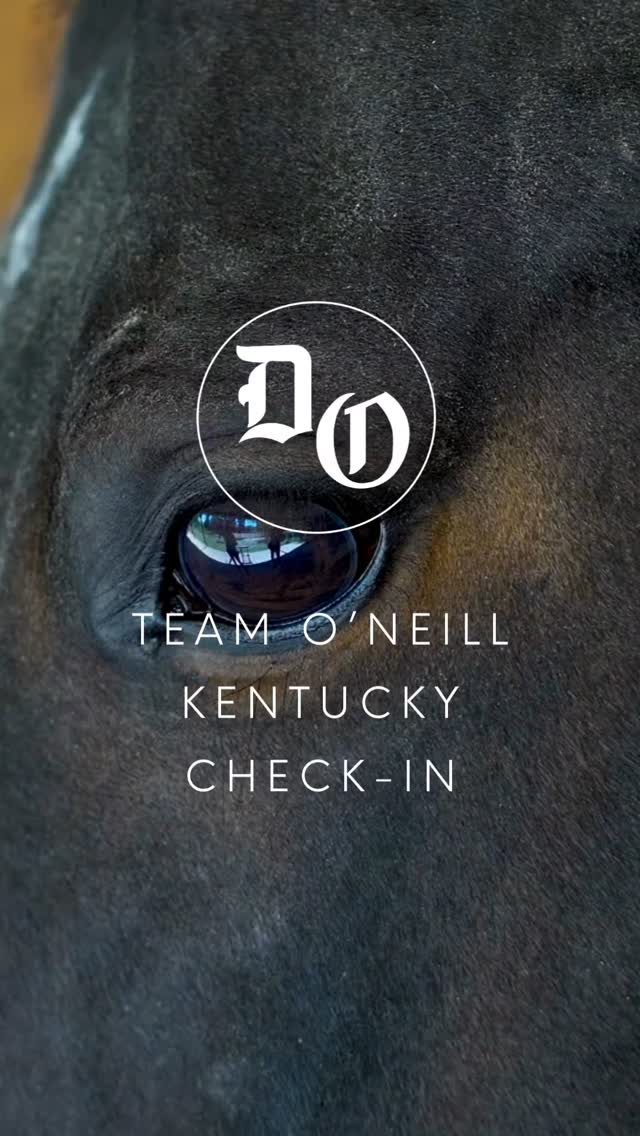 Content becomes exponentially more engaging with high quality photography. Great work as always @cl_images1!