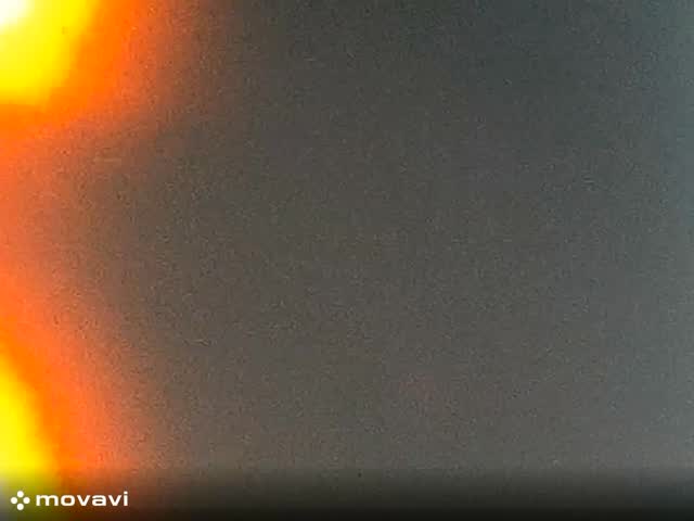 Growing carnation mother plants out door in the 1960
.
.
.
.
#flowers #carnations #growing #start #plants #ertah #working #love #green