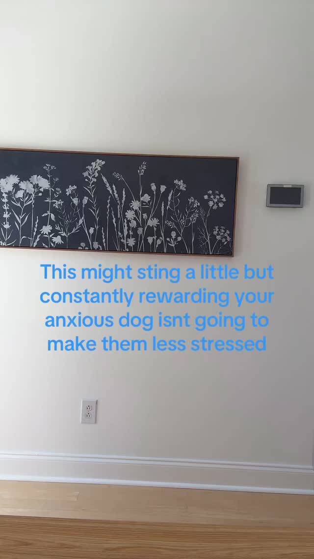 Just because you gave your dog treats/pets/praise doesn’t mean they had a positive experience.
Using everyday rewards (cough treats cough) isn’t going to change the way our dogs FEEL about a situation.
But you know what could? Teaching them how to make better decisions, reducing the number of choices they’re expected to make, and increasing their drive to PLAY!!!!!!!!
I’m not saying ditch the treat pouch quite yet, but stop assuming they’re the key to success. They are but a piece of the 100 piece puzzle. 🧩
#dog #DogTraining #positivereinforcement #balancedtraining #dogsoftiktok