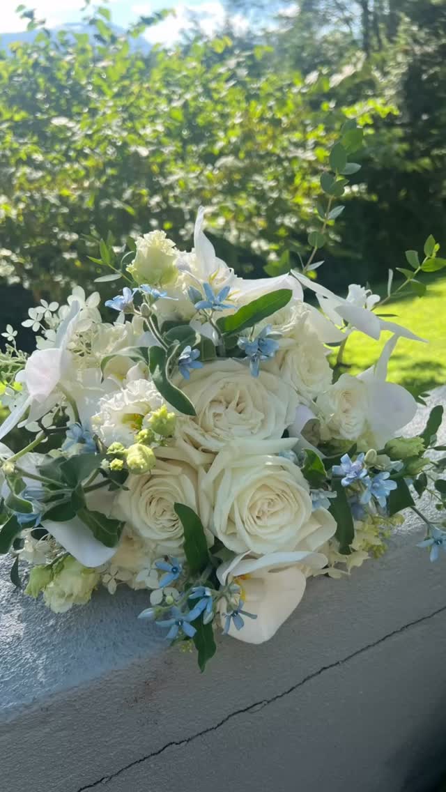 Does this view get any better for a sweet elopement today @biltmorevillageinn