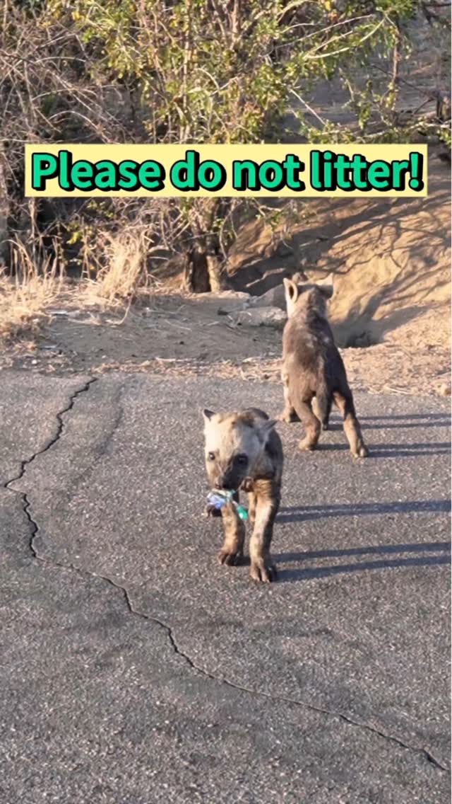 Episode 220 #dailyvlog