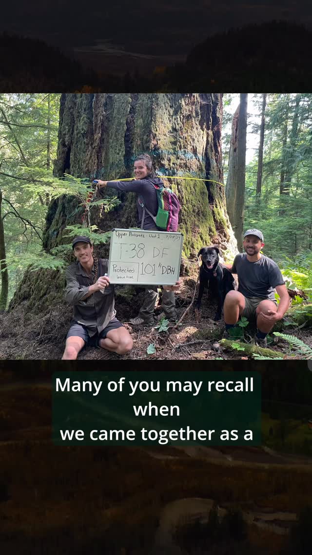 Find the Petition Link in our Bio!
Whatcom County has an opportunity to conserve an incredibly high conservation value forest, called the Upper Rutsatz Forest. Through years of hard work, we now as a community have a unique funding opportunity to permanently conserve this forest utilizing the 2025 round of CCA conservation funding.
Please sign onto the community petition letter urging Whatcom County and DNR to nominate Upper Rutsatz Forest for permanent protection through the 2025 round of CCA conservation funding.