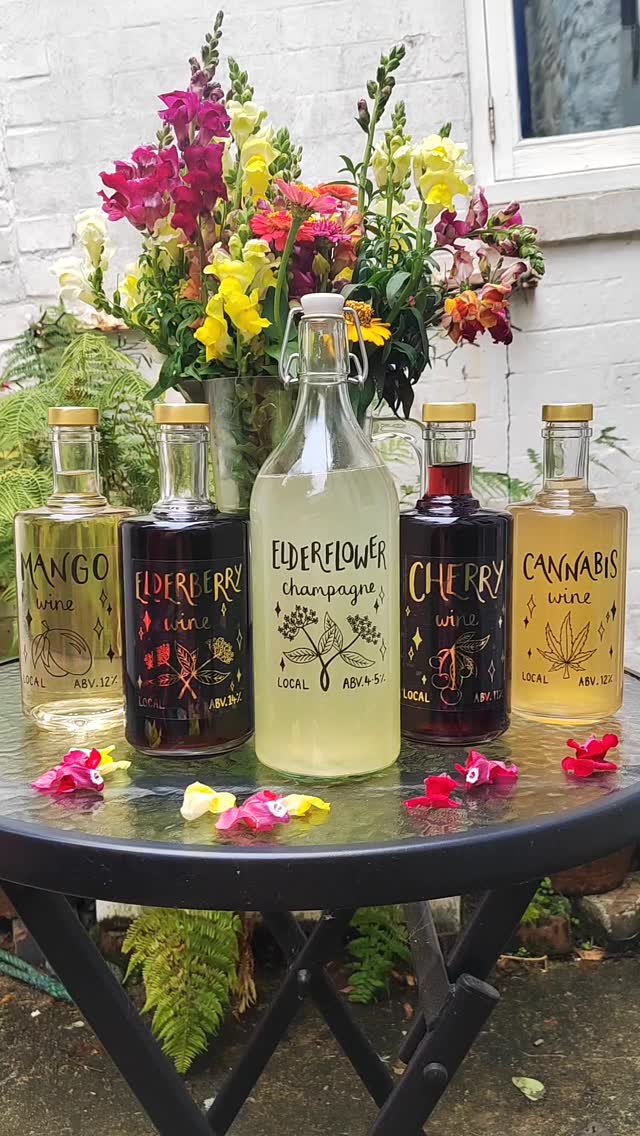 the planning to make this video possible has been going for a year... ladies and gentlemen, i give you you all at @feraluxfarm.... this year's botanical beverages 🥂
🥭 mango , slightly sweet, refreshing and light
🌿 cann*bis , very flavoursome dessert wine
🫐 elderberry , more of a port style wine
🍒 cherry , everything you want from a bottle
🌸 elderflower champagne, sparkling & delicious
it's been dangerous having all this at home considering I live alone 🤣
#botanical #hedgerowwine #nomadicbotanics #homebrew #organicwine #fruitwine