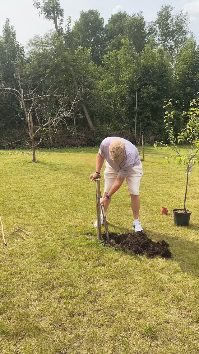 Challenge erfolgreich gemeistert, würde ich sagen 🫱🏻🫲🏼🌳
Dann lasst mal sehen, @landhaus_hollen_gmbh , @kolpingjugend_bbk & @lucky.time.ranch 🤭👏🏼
Ihr habt 48 Stunden Zeit, einen Baum zu pflanzen 🪴
Solltet ihr es nicht schaffen ist das gar nicht schlimm, wir freuen uns auch sehr über eine Einladung zum Grillen! ☺️✌🏼
#baumchallenge #burlage #kinderundjugendhilfe #rueckenwindburlage #sichererort #traumapädagogik #pädagogik #challenge #challengeaccepted