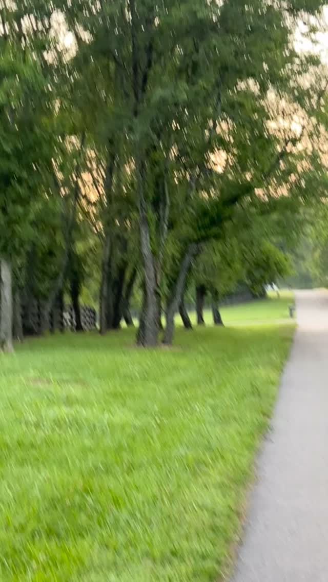 Morning walks with God never get old. Each day is a fresh start. His mercies are new every morning. I believe He wants to be with us, to talk to us, to listen to us. For one reason, Abba Father loves His children.