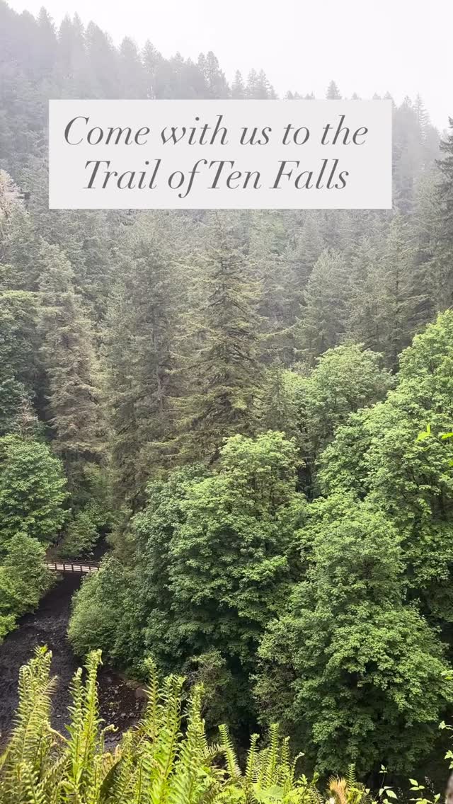 Chasing waterfalls in Oregon 💧🌳🥾
It’s not every day you get to walk behind a waterfall! This was one of the most unique spots we’ve been to in the US (Plitvice in Croatia will likely always be our #1 for waterfalls but that’s a much bigger investment than driving a few hours). The trail of ten falls was magical even on an overcast day. Unlike a mountain hike, the clouds don’t obscure the view, they keep it cooler, and we found that they kept the crowds low. So no need to keep a careful gauge on the weather for this one. You’ll be good with clear or cloudy skies.
Details: Trail of Ten Falls at Silver Falls State Park
7.4 miles
1,207 ft elevation gain
Notes: because the elevation gain is stretched out over 7+ miles, it’s a pretty chill stroll. If you’re not keen on walking so far, however, what is arguably the coolest waterfall on the whole trail is probably 1/4-1/2 mile from the parking lot.
Happy hiking!
Xx
The future, wild
.
.
.
.
.
.
#pnwonderland #getoutside #explore #pnw #chasingwaterfalls #oregonexplored #oregonhikes #hike #takeahike #pnwsummers #familyhike #getlost #thefuturewild