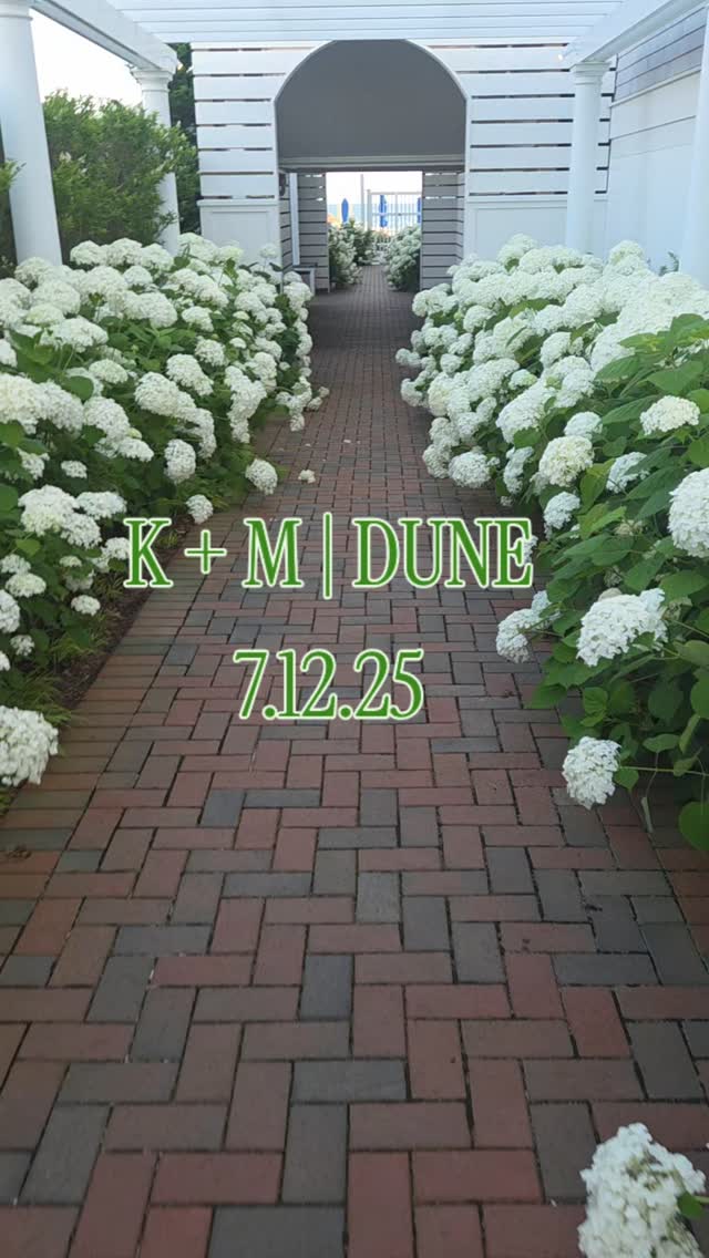 Golden hour at Dune is unmatched ✨️
Obsessed with this palette and excited for more color coming up in the next few weeks!
If you want to talk about flowers for your 2026 Cape Cod wedding contact us through the link in our bio - we'd love to chat!
.
Vendors:
Venue @wychmerebeachclub @wychmereevents
Makeup @haleyjoypage
Hair @thecapesmanebridalhair
Dress @flairboston
Photos @kate_donovan_ photography
Stationery @pinkpolkadot
Rentals @peakeventservices
DJ @djdannywalsh
Photobooth @nephotobooth