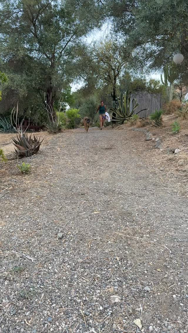 DAY FOUR VLOG - We escaped the studio for a lake day; pedal‑boat rides, sunshine, soul‑feeding laughs and a dinner to remember ☀️🚣♀️
Back at the centre, we dropped into Fierce Grace IN, a deeply therapeutic, slow‑flow hip and joint opener, then drifted into yoga nidra that lulled us toward calm 🌙
A perfect send‑off into dreamland 😴
#DamnHotRetreat #LakeBliss #INAndOut #YogicBedtime