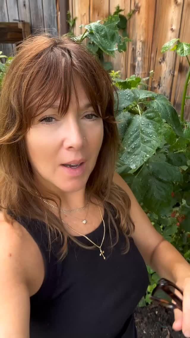 The lilies don’t hustle—and they still bloom in their own perfect time.
Here’s your permission slip to stop forcing and start flowing.
Be the lilies, my friends. 💛