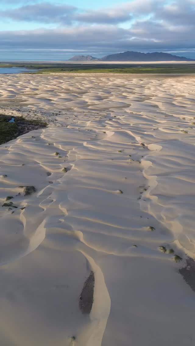 🌊 Bahía Magdalena…
Un lugar donde el desierto se funde con el mar.
Descubre sus secretos junto a Murillos Bros Adventours.
🚤 Paseos en la Isla
🐋 Avistamiento de Ballenas
🧭 Aventuras auténticas
📍 Puerto San Carlos, B.C.S.
🎒 Murillos Bros Adventours
#BahíaMagdalena #MurillosBrosAdventours #PuertoSanCarlos #TurismoLocal #BajaCaliforniaSur #Dunas #Manglares #AventuraNatural