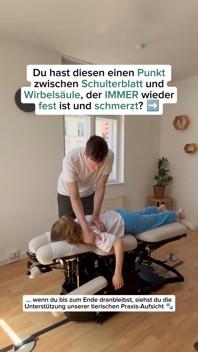 Besonders Frauen, die viel sitzen oder unter Daueranspannung stehen, kennen ihn: der feste Triggerpunkt zwischen Schulterblatt und Brustwirbelsäule.
Anatomisch ist er ein komplexer Bereich: Rippengelenke, kleine Wirbelverbindungen, Muskulatur, sensible Nervenverläufe.
Mit gezielter chiropraktischer Arbeit können wir dort ansetzen, wo sich Spannungen häufig festsetzen und mit weiterführenden Übungen unterstützen.
Du kennst dieses Gefühl? Dann komm gerne bei uns vorbei!
P.S.: Ganz am Ende beobachtet übrigens unsere Praxis-Assistentin Nova, ob alles korrekt läuft. 🐾☺️
📍 ChiroDynamik Potsam
🗓️ Buche deinen Termin über den Link in der Bio oder schreibe uns eine DM!
CHIROPRATIK CHIROPRAKTOR GESUNDHEIT PRAXIS SCHULTERSCHMERZEN TRIGGERPUNKT CHIROPRAKTIKER
#Chiropraktik #Schmerzfrei #Gesundheit #Beweglichkeit #chirodynamikpotsdam #wohlbefinden #chiropraktor #chiropraktiker #chiropraktikpraxis #rückenschmerzen #manuelletherapie #chirodynamik